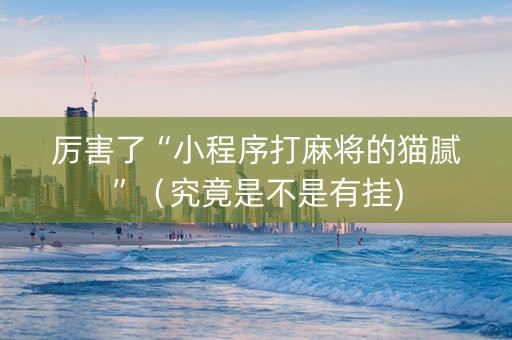 厉害了“小程序打麻将的猫腻”（究竟是不是有挂)