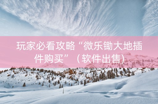 玩家必看攻略“微乐锄大地插件购买”（软件出售)
