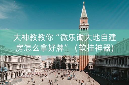 大神教教你“微乐锄大地自建房怎么拿好牌”（软挂神器)