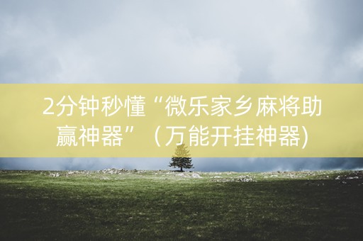 2分钟秒懂“微乐家乡麻将助赢神器”（万能开挂神器)