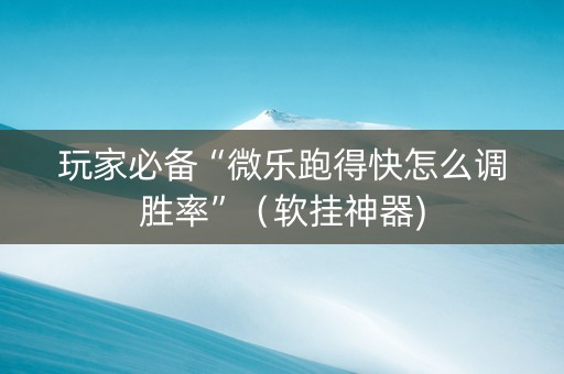 玩家必备“微乐跑得快怎么调胜率”（软挂神器)