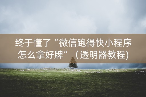 终于懂了“微信跑得快小程序怎么拿好牌”（透明器教程)