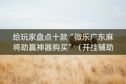 给玩家盘点十款“微乐广东麻将助赢神器购买”（开挂辅助器脚本)