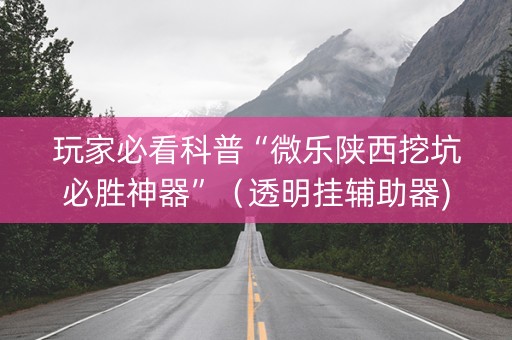玩家必看科普“微乐陕西挖坑必胜神器”（透明挂辅助器)