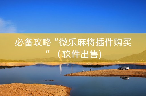 必备攻略“微乐麻将插件购买”（软件出售)