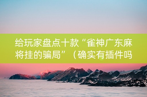 给玩家盘点十款“雀神广东麻将挂的骗局”（确实有插件吗)
