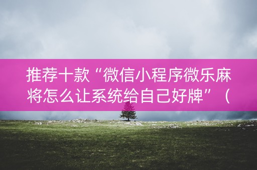 推荐十款“微信小程序微乐麻将怎么让系统给自己好牌”（辅助器插件)