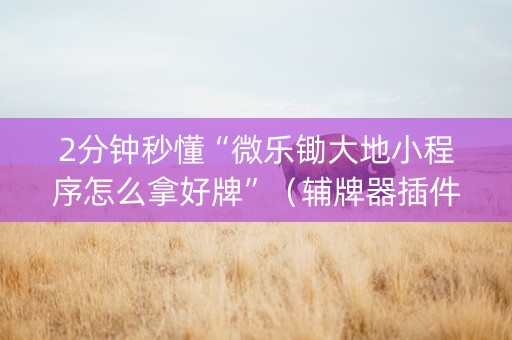2分钟秒懂“微乐锄大地小程序怎么拿好牌”（辅牌器插件购买)
