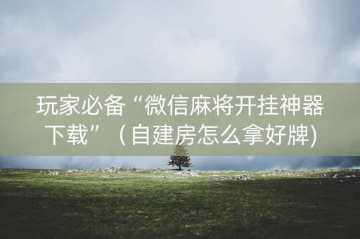 玩家必备“微信麻将开挂神器下载”（自建房怎么拿好牌)