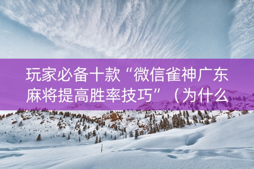 玩家必备十款“微信雀神广东麻将提高胜率技巧”（为什么有人一直赢)