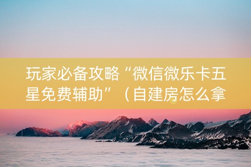 玩家必备攻略“微信微乐卡五星免费辅助”（自建房怎么拿好牌)