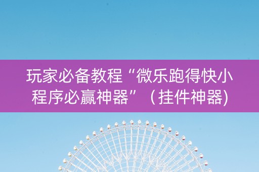 玩家必备教程“微乐跑得快小程序必赢神器”（挂件神器)