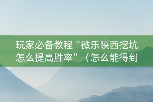 玩家必备教程“微乐陕西挖坑怎么提高胜率”（怎么能得到好牌)