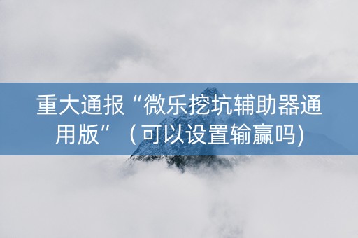 重大通报“微乐挖坑辅助器通用版”（可以设置输赢吗)