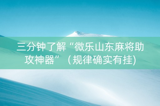 三分钟了解“微乐山东麻将助攻神器”（规律确实有挂)