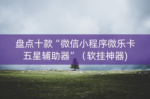 盘点十款“微信小程序微乐卡五星辅助器”（软挂神器)