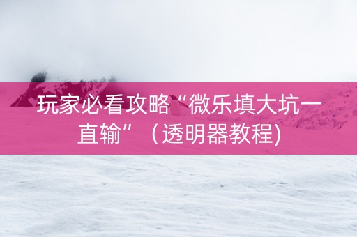玩家必看攻略“微乐填大坑一直输”（透明器教程)