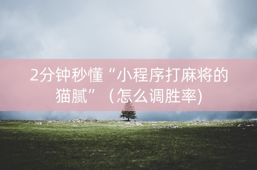 2分钟秒懂“小程序打麻将的猫腻”（怎么调胜率)