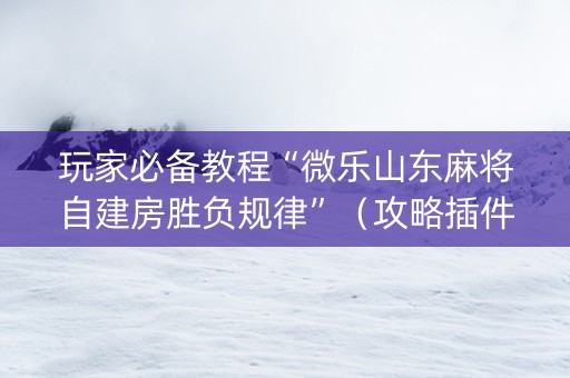 玩家必备教程“微乐山东麻将自建房胜负规律”（攻略插件)