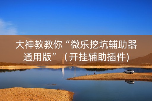大神教教你“微乐挖坑辅助器通用版”（开挂辅助插件)