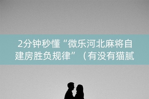 2分钟秒懂“微乐河北麻将自建房胜负规律”（有没有猫腻)