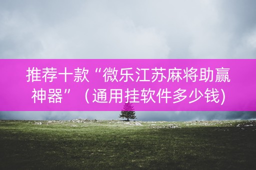 推荐十款“微乐江苏麻将助赢神器”（通用挂软件多少钱)