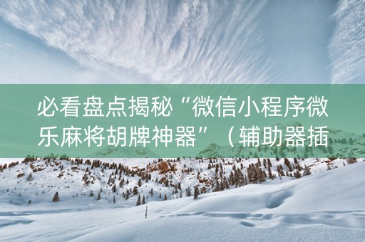 必看盘点揭秘“微信小程序微乐麻将胡牌神器”（辅助器插件)