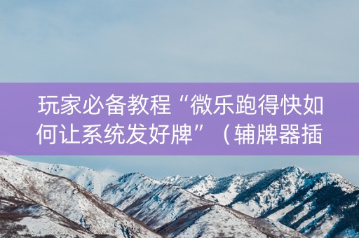 玩家必备教程“微乐跑得快如何让系统发好牌”（辅牌器插件购买)