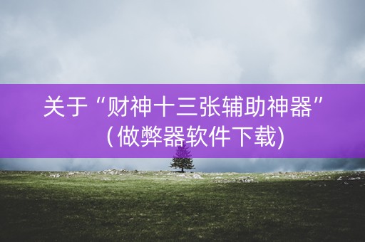 关于“财神十三张辅助神器”（做弊器软件下载)