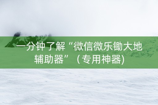一分钟了解“微信微乐锄大地辅助器”（专用神器)