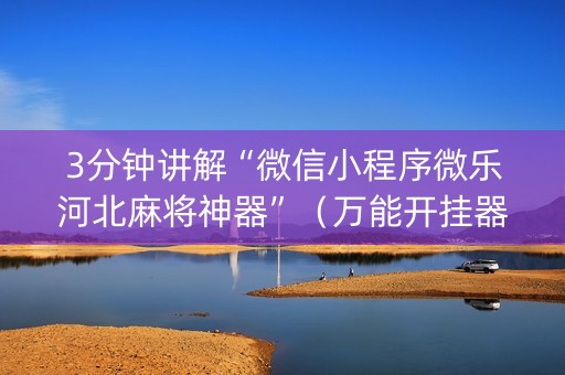 3分钟讲解“微信小程序微乐河北麻将神器”（万能开挂器)