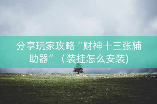 分享玩家攻略“财神十三张辅助器”（装挂怎么安装)
