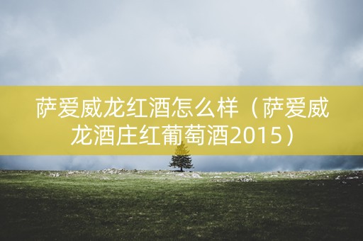 萨爱威龙红酒怎么样（萨爱威龙酒庄红葡萄酒2015）