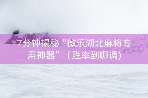 7分钟揭秘“微乐湖北麻将专用神器”（胜率到哪调)
