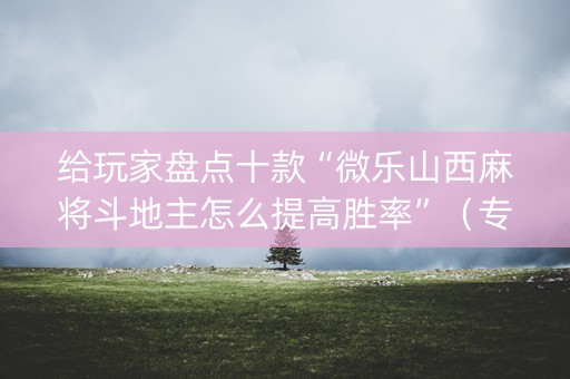 给玩家盘点十款“微乐山西麻将斗地主怎么提高胜率”（专用神器)