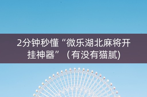 2分钟秒懂“微乐湖北麻将开挂神器”（有没有猫腻)