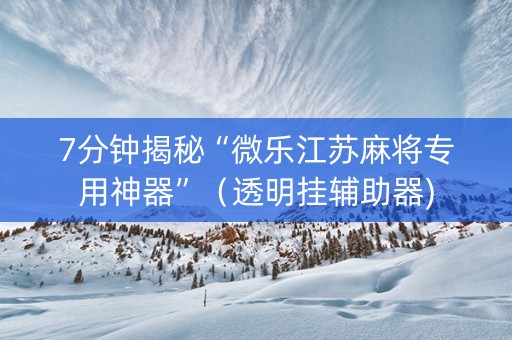 7分钟揭秘“微乐江苏麻将专用神器”（透明挂辅助器)