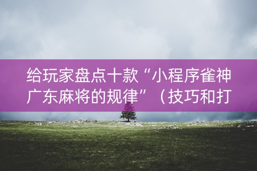 给玩家盘点十款“小程序雀神广东麻将的规律”（技巧和打好牌方法)