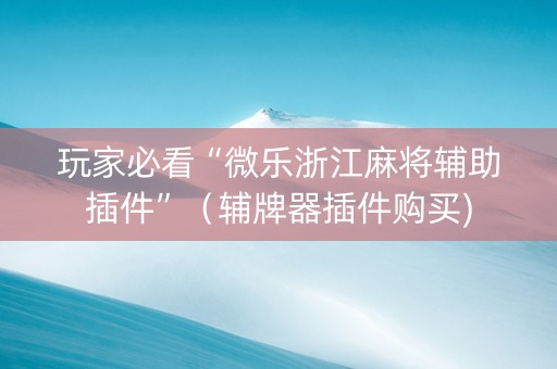 玩家必看“微乐浙江麻将辅助插件”（辅牌器插件购买)