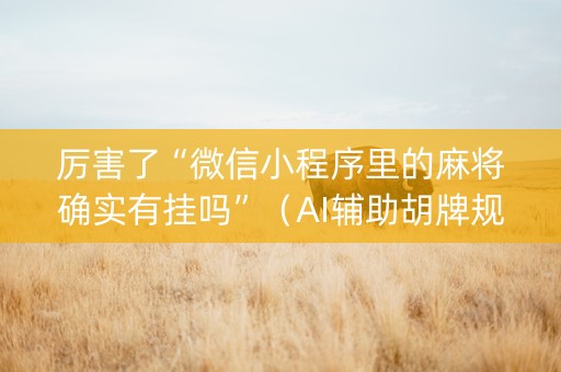 厉害了“微信小程序里的麻将确实有挂吗”（AI辅助胡牌规则)