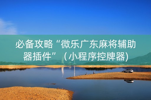必备攻略“微乐广东麻将辅助器插件”（小程序控牌器)
