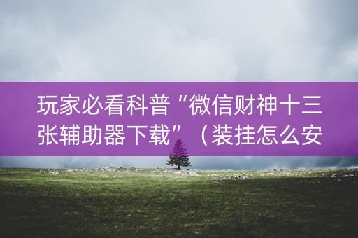 玩家必看科普“微信财神十三张辅助器下载”（装挂怎么安装)