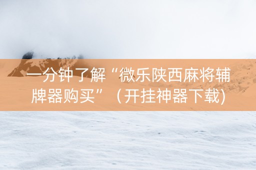 一分钟了解“微乐陕西麻将辅牌器购买”（开挂神器下载)