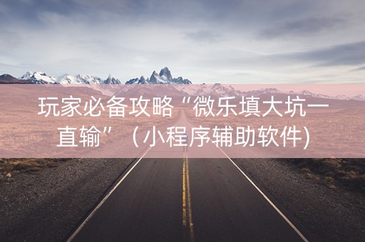 玩家必备攻略“微乐填大坑一直输”（小程序辅助软件)