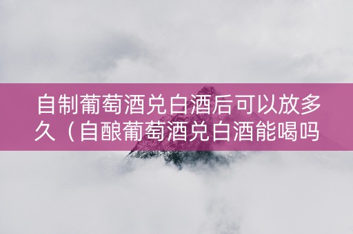 自制葡萄酒兑白酒后可以放多久（自酿葡萄酒兑白酒能喝吗）