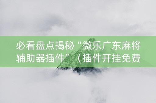 必看盘点揭秘“微乐广东麻将辅助器插件”（插件开挂免费AI)