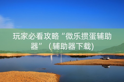 玩家必看攻略“微乐掼蛋辅助器”（辅助器下载)