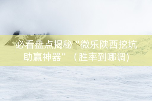 必看盘点揭秘“微乐陕西挖坑助赢神器”（胜率到哪调)
