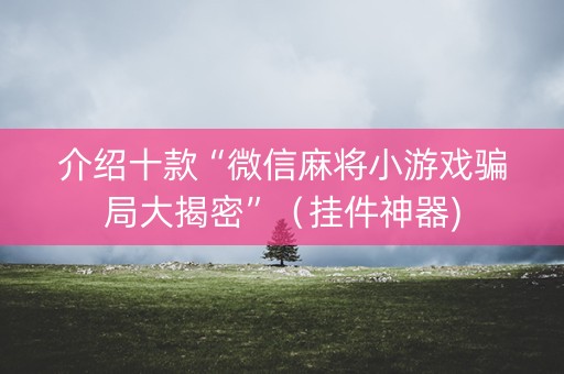 介绍十款“微信麻将小游戏骗局大揭密”（挂件神器)