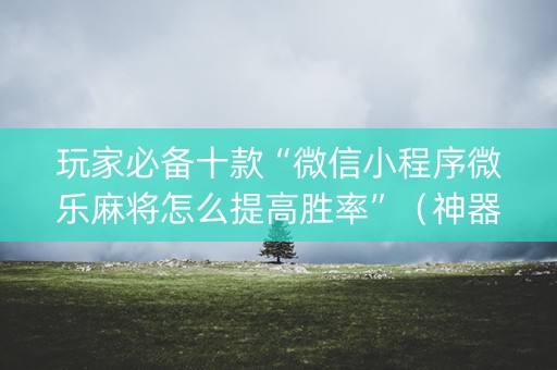 玩家必备十款“微信小程序微乐麻将怎么提高胜率”（神器通用版)